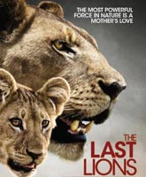 Смотреть Онлайн Последние львы / The last lions [2011]
